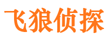 民权市私家侦探